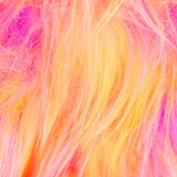 Rainbow Sherbet